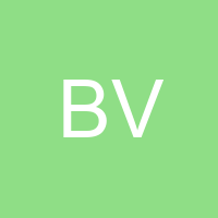 BAGY VICHEZ