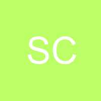 Sean Collins