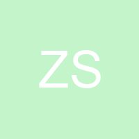 Zain Saqib